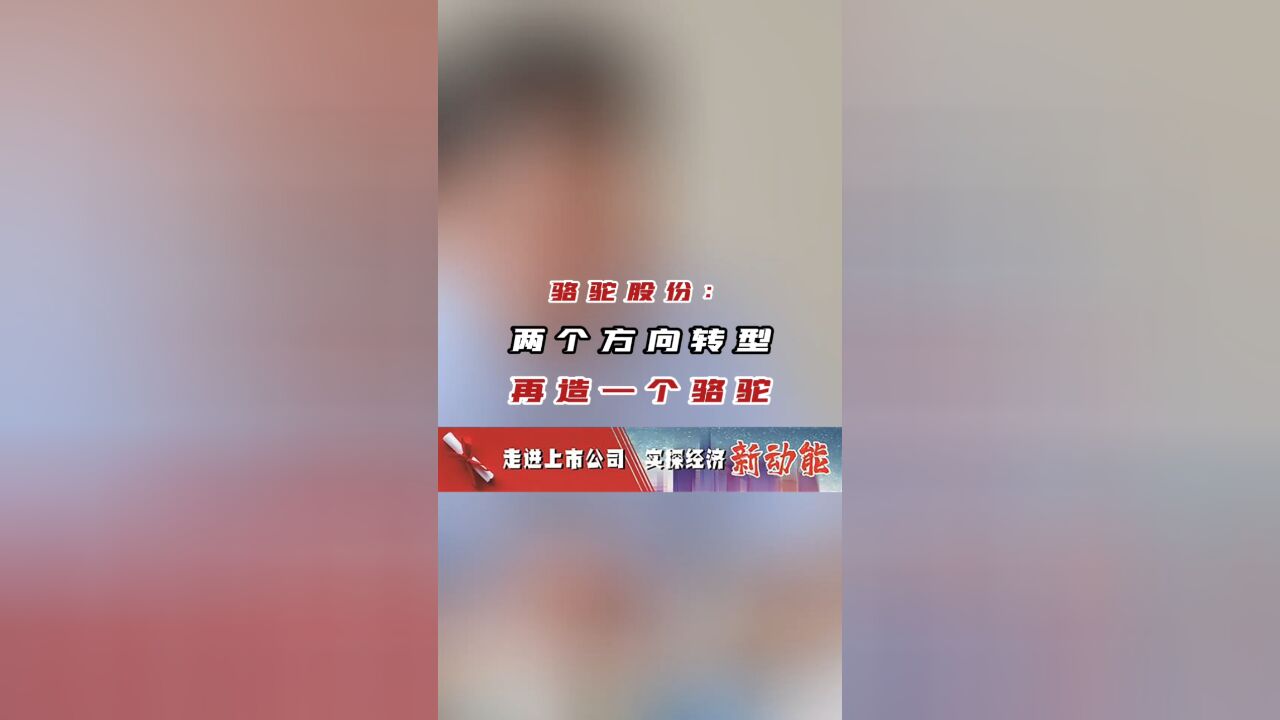 骆驼股份:两个方向转型再造一个骆驼