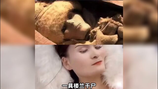 楼兰语法是什么梗?