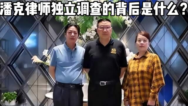 潘克想要干什么?看不懂了