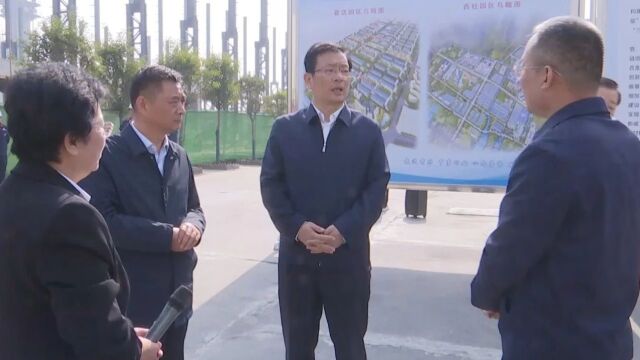 【学思想 强党性 重实践 建新功】丁小强带队深入我县开展全市2023年第三季度推进高质量发展项目集中拉练检查