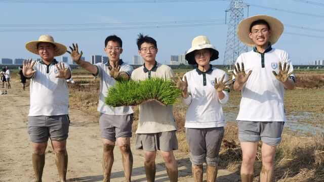 南京市浦口区行知基地劳动教育集锦