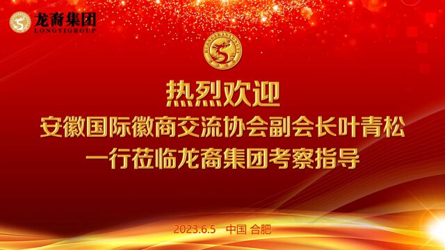 安徽国际徽商交流协会副会长叶青松一行莅临龙裔集团考察指导!