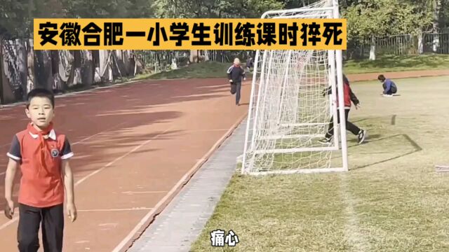 安徽合肥一小学生训练课时猝死