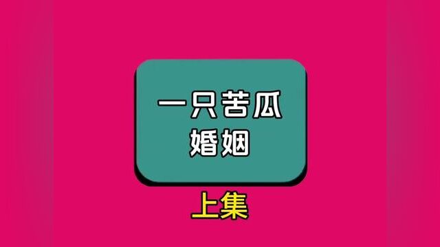 《一只苦瓜婚姻》全集,点击左下方下载(番茄小说)精彩后续听不停#番茄小说 #小说