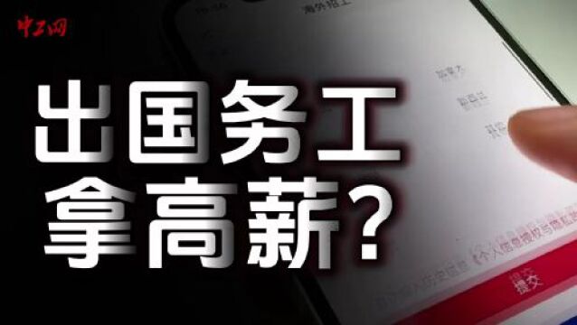 工视评丨出国务工拿高薪?“童话”背后有风险