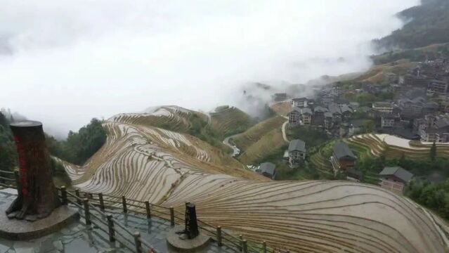 惊艳 | 有图有视频!桂林镜面梯田美景即将呈现!