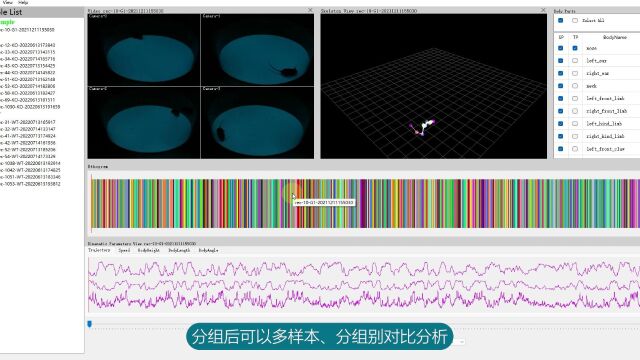 自定义分组对比分析