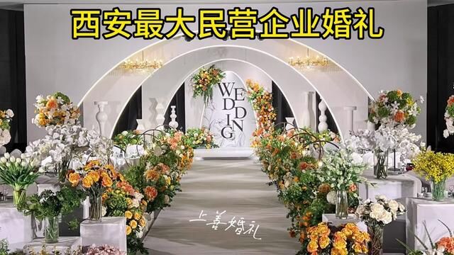 #临潼婚庆#临潼婚礼#临潼主持摄像#临潼婚礼策划#临潼水晶婚礼