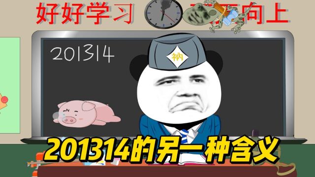 201314的另一只种含义