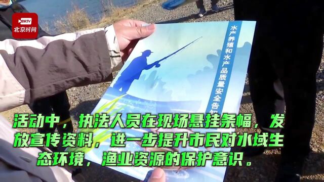 修复水域生态环境,平谷增殖放流花白鲢、草鱼、花鲢等共计35万尾