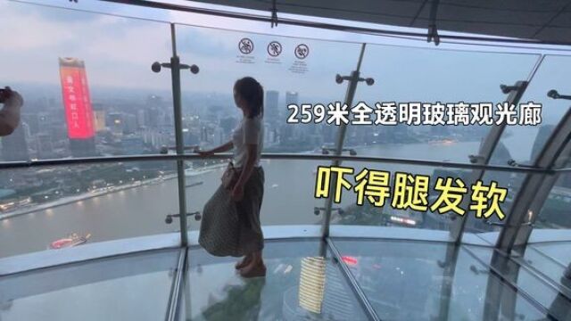 站在东方明珠259米,全透明玻璃上看上海全景,是怎样的感觉?