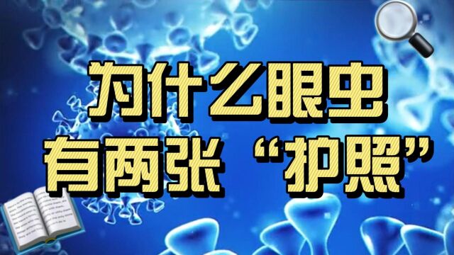 为什么眼虫有两张“护照”