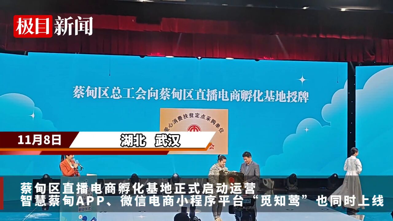 【视频】首批千余种产品上架,蔡甸区直播电商孵化基地启动运营