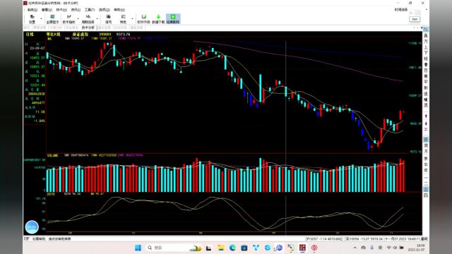 20231107市场行情复盘:星线停顿