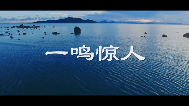 重庆云阳言值语言教育《国学故事之一鸣惊人》