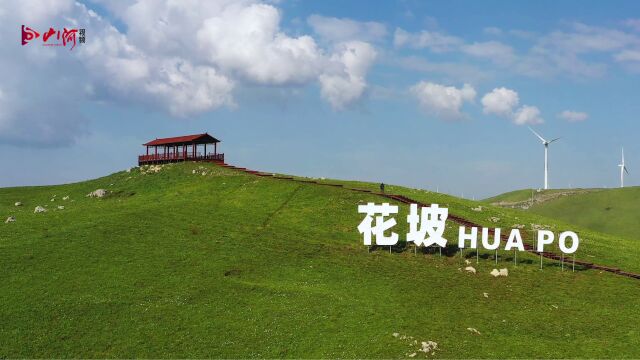 花坡 海拔2300米上的高山花园