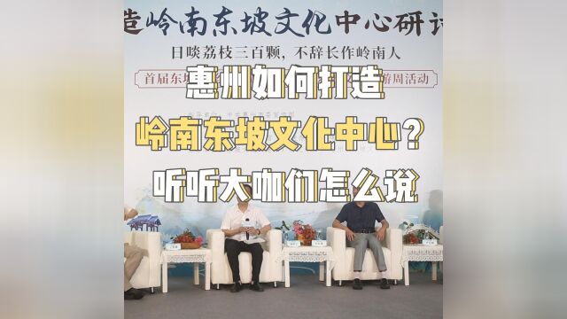 惠州如何打造岭南东坡文化中心?听听大咖们怎么说