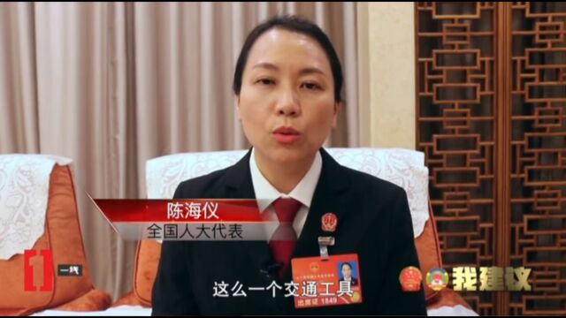 人大代表陈海仪提议电动车上牌、强制保险和加大处罚力度!