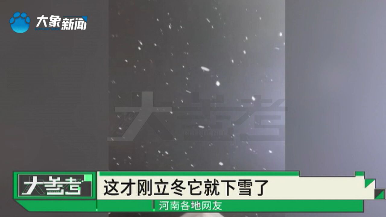 抬头看郑州下雪了!气温骤降雪花悄然而至,你家那下雪了吗?