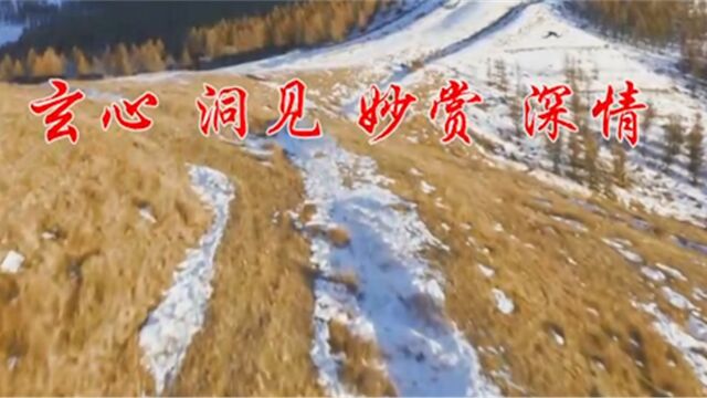 冯友兰先生在《南渡集》中曾说过,魏晋“真名士自风流”中的风流,要具有四要素