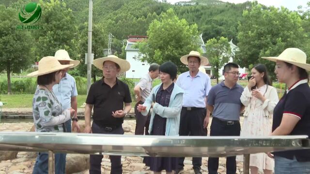 水利部太湖局到我县调研水美乡村建设情况