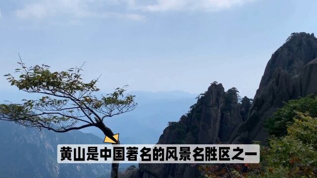 奇峰峭壁、瀑布溪流、高山草甸、云海日出,奇幻非常