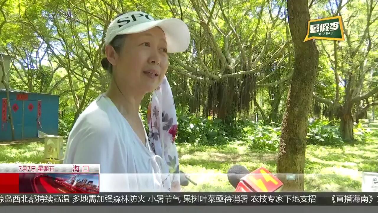 暑期来到:琼山推出6条精品旅游线路 文旅活动让快乐“暑”不尽