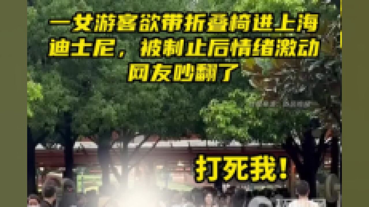 一女游客欲带折叠椅进上海迪士尼,被制止后情绪激动,网友吵翻了