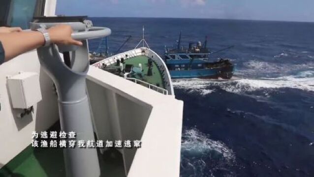 中国海警局东海分局依法查缉1艘暴力抗法违规渔船,抓获嫌疑人9人