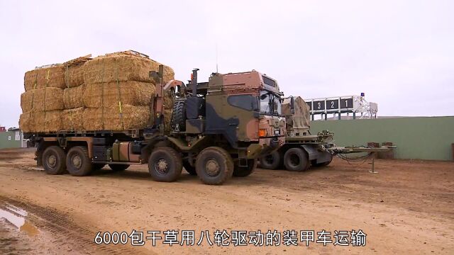 9辆八轮驱动的超级卡车,运输6000包干草,光燃料费就要11万美元