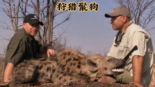 私人农场饲养,供富人玩乐