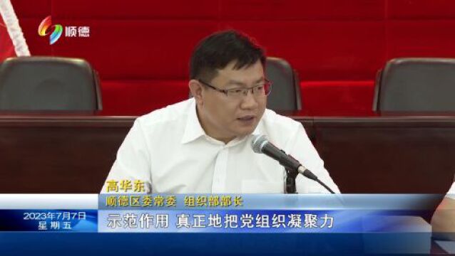 顺德召开优秀党员、重点项目支部书记座谈会 凝聚合力推动高质量发展