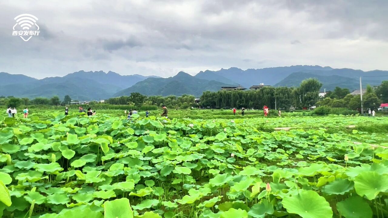 聚焦2023年八个方面重点工作|长安区清水头村:打造农文旅融合示范点