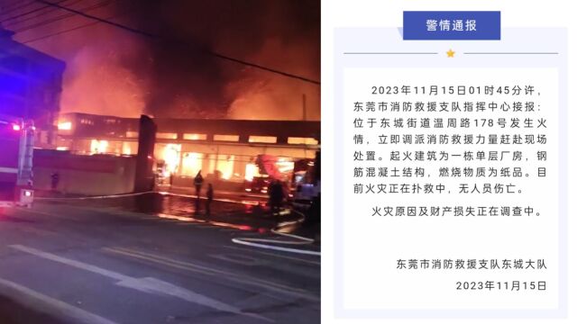 广东东莞一厂房凌晨突发大火 消防:无人员伤亡 燃烧物质为纸品