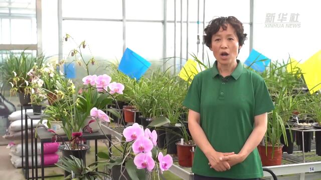 沙漠植物也怕热?炎天暑月看植物防暑降温“妙招”