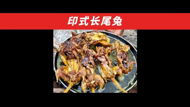 相当下饭的“印式长尾兔” #美食 #美食分享 #乡村生活.