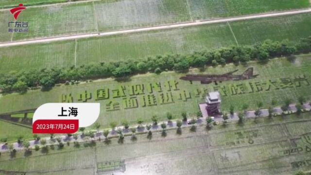 上海大型“五彩稻田画”景观开始进入观赏期