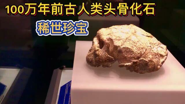 湖北发现100万年前人类头骨化石,人类起源或许在中国