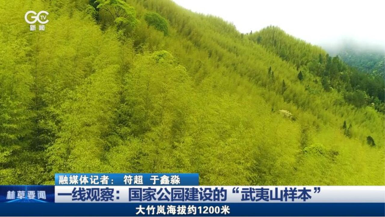 一线观察:国家公园建设的“武夷山样本”