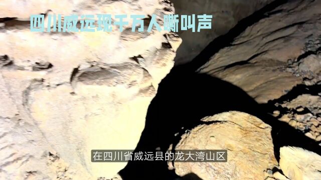 四川威远现万千人嘶叫声