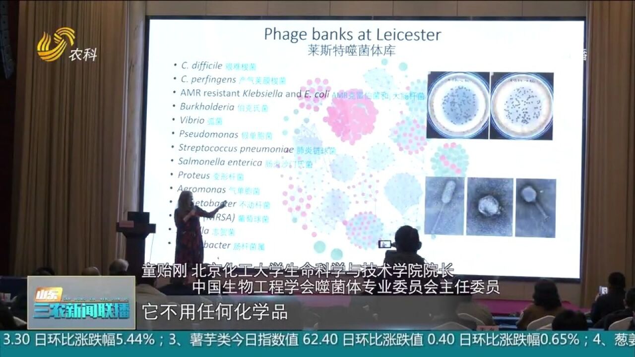 首个噬菌体国际联合实验室在济南成立,全球相关领域人员交流探讨