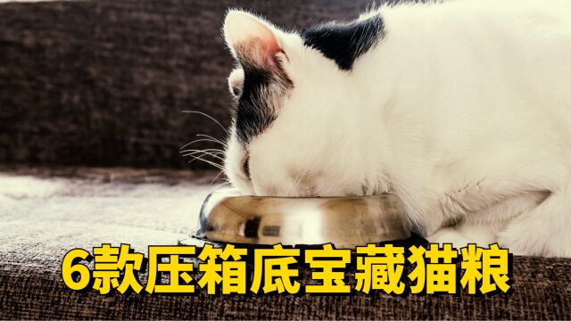 6款压箱底宝藏猫粮,不藏了!