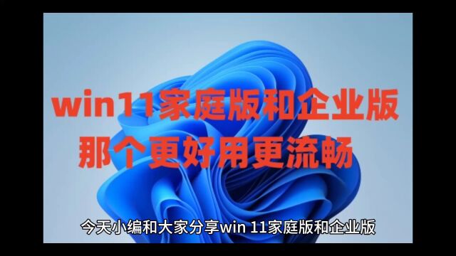 win11家庭版和企业版那个更好用更流畅以及Windows11系统永久激活密钥