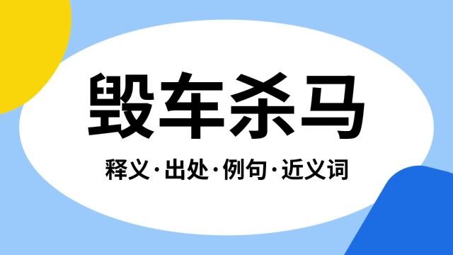 “毁车杀马”是什么意思?