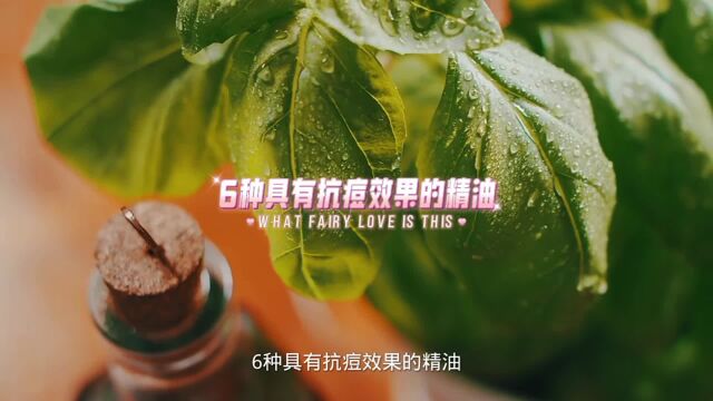 6种具有抗痘效果的精油,你知道吗?