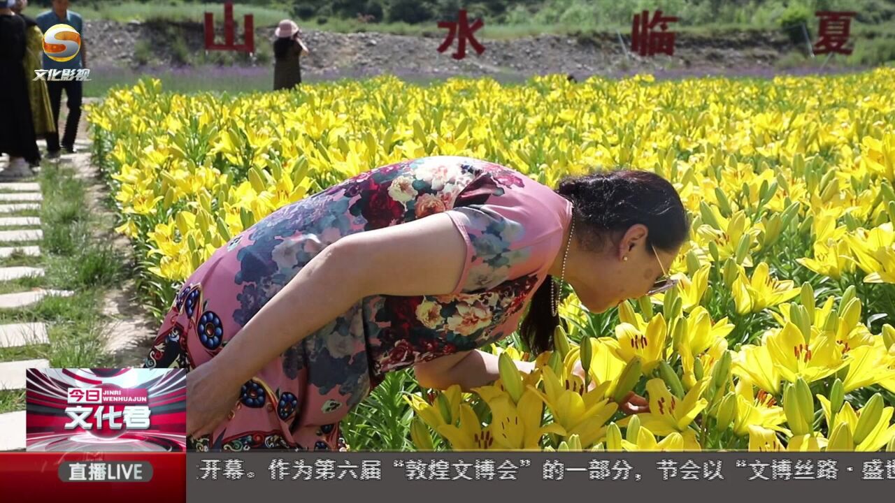 花卉绿植扮靓临夏县城