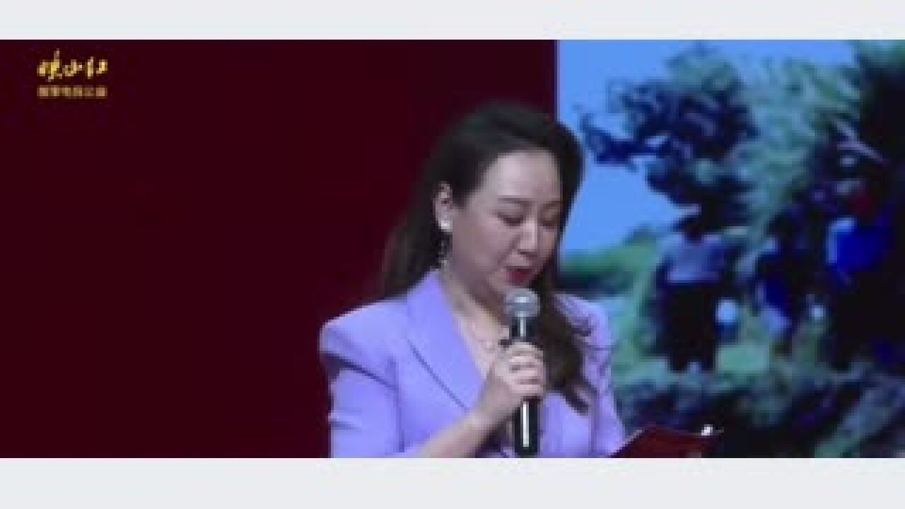 无已做20年的“映山红”助学志愿服务,为啥后劲更足?