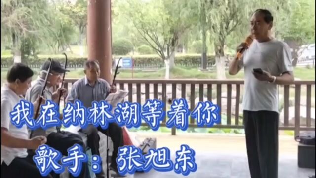 张旭东演唱《我在纳林湖等着你》天蓝蓝草绿绿 草绿绿 我在纳林湖 等着你 这里的芦苇 最漂亮 这里的湖水也醉你