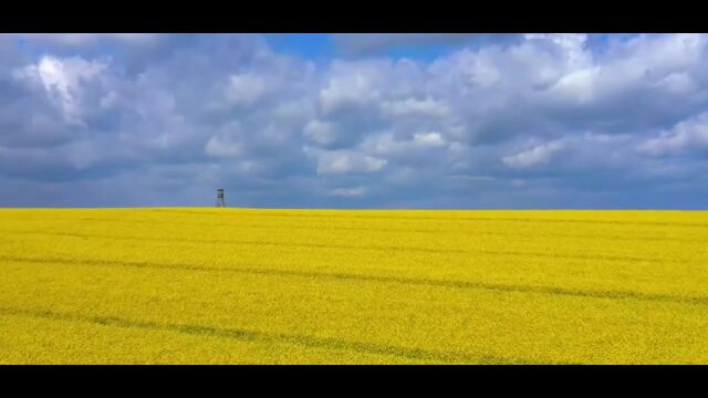 怀旧经典金曲:雷龙《我爱大草原》