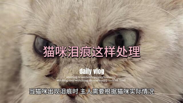 猫咪泪痕怎么回事?